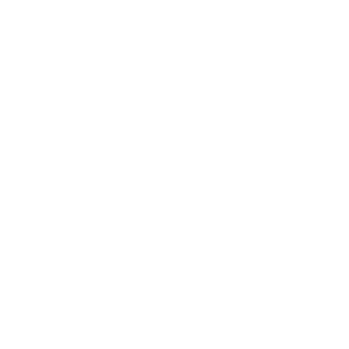 Entrepreneurland Boot Camp